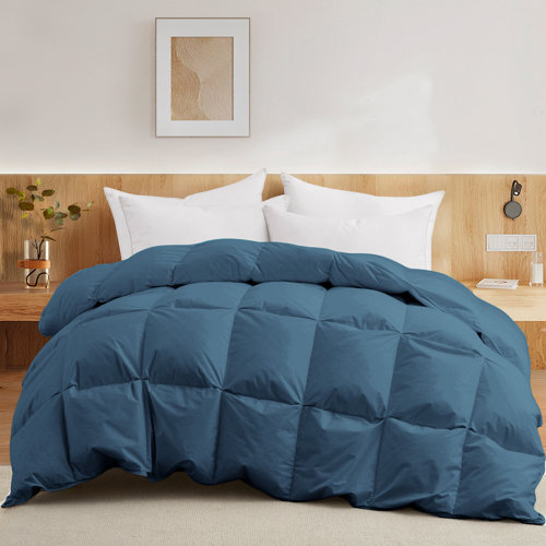 Alwyn Home 600 Fill Power All Seasons Down Comforter & Reviews Wayfair